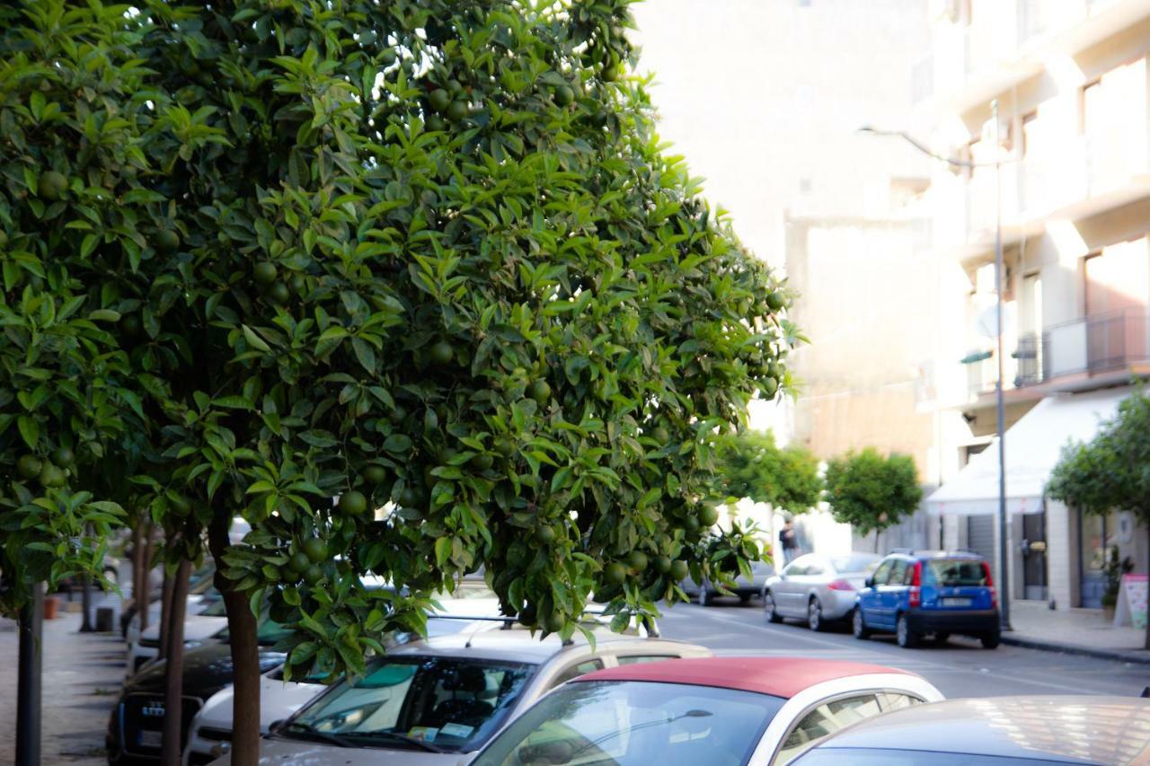 B&B Solea Catania-Fontanarossai nemzetközi repülőtér Kültér fotó